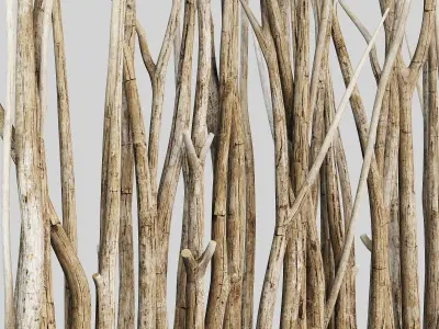 Branch old screen n2 3D model