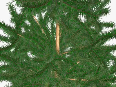 Fir tree artificial 04 3D model