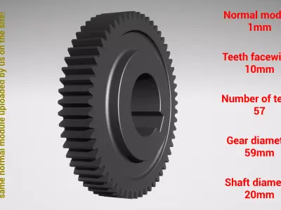 Cylindrical gear - paired - z57 m1 D59 d20 3D print model