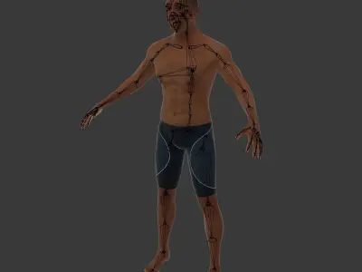 African Swimmer - Surfer 3D model