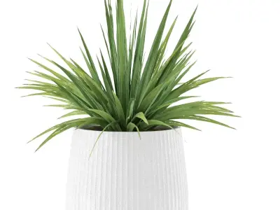 Plant-Set-001 plant in pot Free 3D model