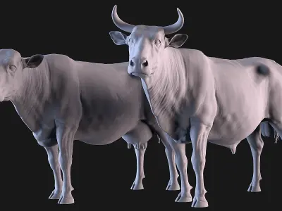 Cow and Bull 3D print model