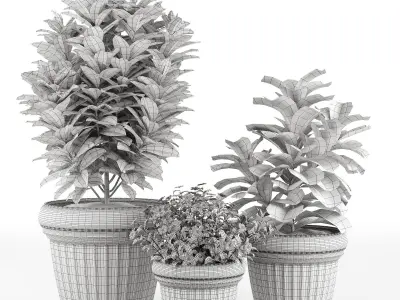 Set 3 Indoor Planters 01 3D model