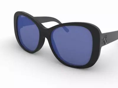 Sunglasses RL8144 3D model