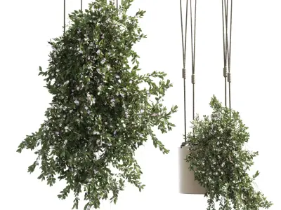 Plants hanging with flowers pots indoor plant 302 Low-poly 3D model