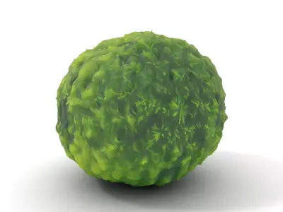 Verdant Sphere Moss model pack Low-poly 3D model