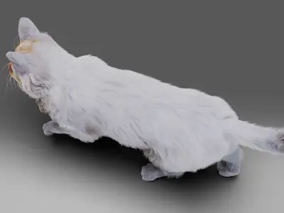 Fur Cat White Rigged Low-poly 3D model