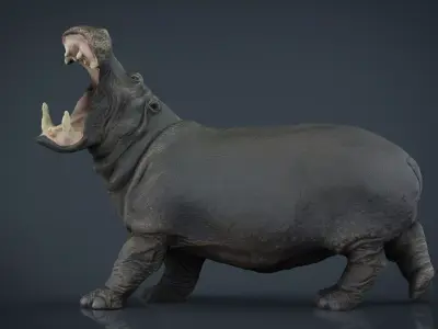 Hippopotamus Low-poly 3D model