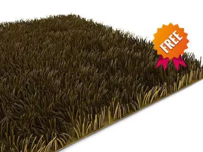 3D carpet mesh z9z Free 3D model
