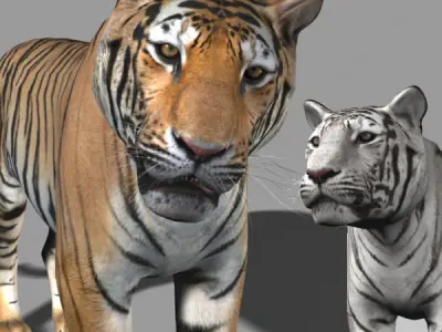 The Ultimate CGI Tiger - no fur 3d model 3D model
