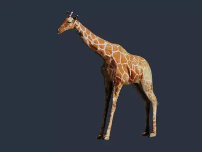 giraffe 3D model