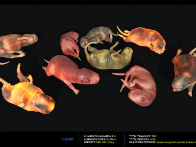 Cub Rat Low-poly 3D model