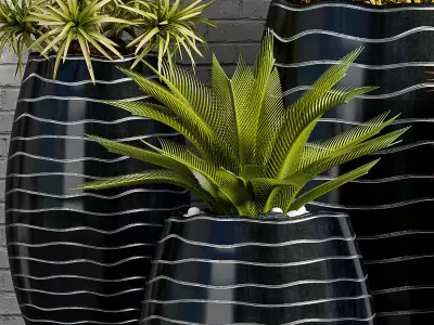 Decorative plant set-47 3D model