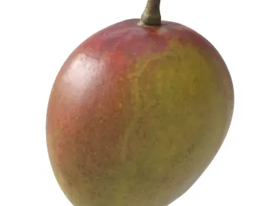 Mango fruit 3D Model Collection