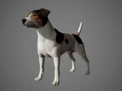 Jack Russell Real-Time Low-poly 3D model