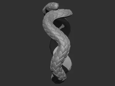 Snake ring 3D print model