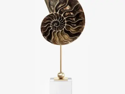 Sea shell decorative set 02 3D model