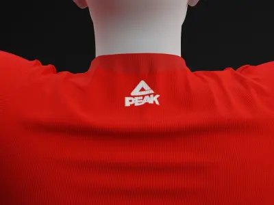 Palestine 2022  Home Jersey Free 3D model