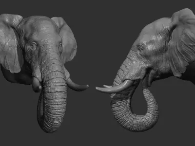 Elephant head 3D print model purchase