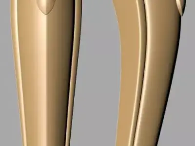 Carved Leg 3D model