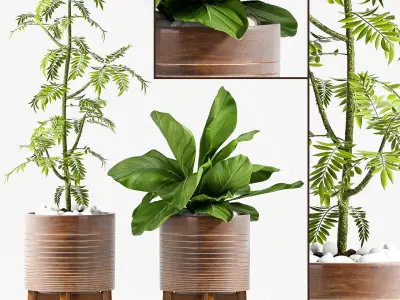 Decorative plant set-71 3D model