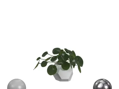 The Monet plant 3D model