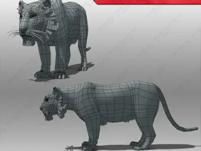 Tiger Animated Low-poly 3D model