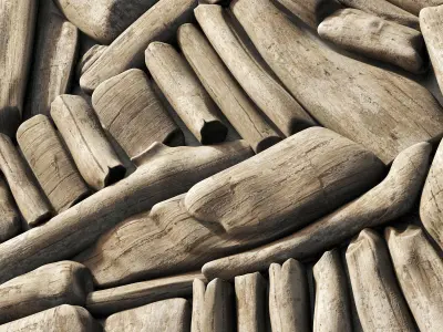 Rectangle  panel branch splinter Big n2 3D model