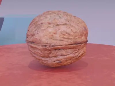 Walnut fruit 06 high-poly 3D model