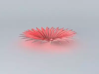 pettle play Free 3D model