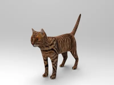 3d Wild Cat model  Low-poly 3D model