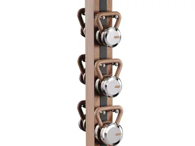 Lova Vertical Kettlebell Set Full 3D model