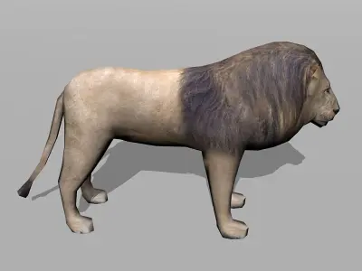 lion cat Low-poly 3D model