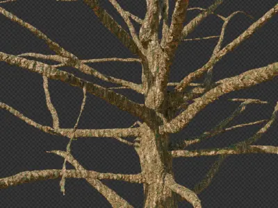  stylized environment asset low poly game ready  3D model