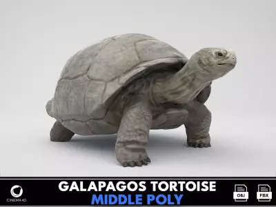 Galapagos Tortoise  Low-poly 3D model