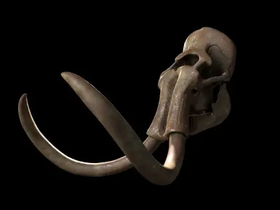 Woollly Mammoth Complete Skeleton System 3D model