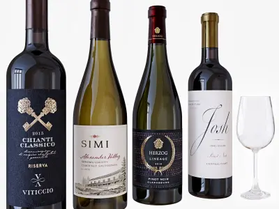 Wine bottle set 13 3D model