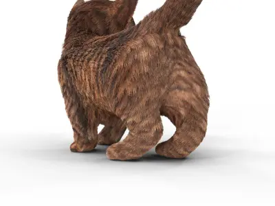 Fur Cure Kitten Red 02 Low-poly 3D model