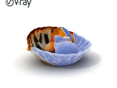 Elegant Dessert Dish with Shell Plate Model Pack Low-poly 3D model