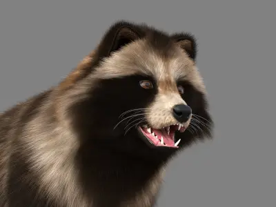 Realistic Raccoon Dog Tanuki Low-poly 3D model