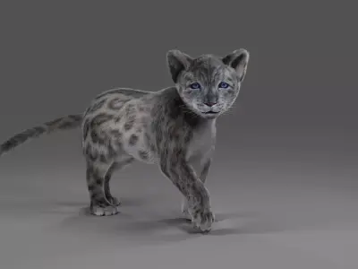 Fur Baby Snow Leopard Rigged in Blender  Low-poly 3D model