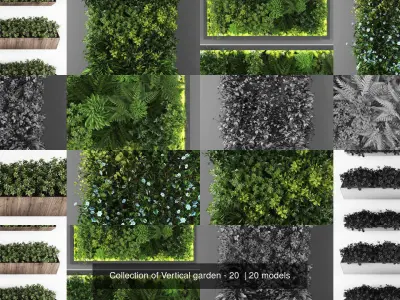 Collection of Vertical garden - 20 