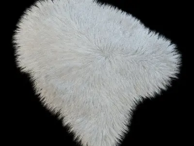 Fur with long pile 3D model