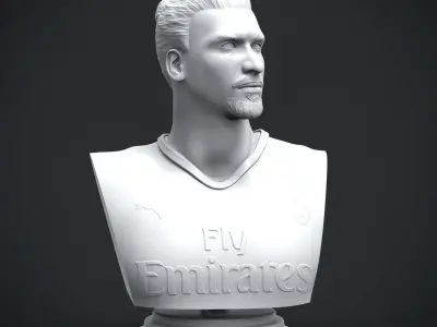 Ibrahimovic 3D Printable 3D print model