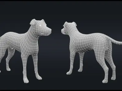 Dog Rigged  Low-poly 3D model