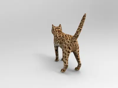 3D Wild Cat game ready low poly model  Low-poly 3D model