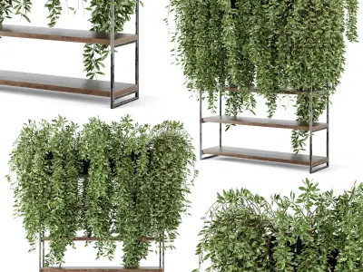 Indoor Plants in rusty Concrete Pot on Metal Shelf - Set 23  3D model