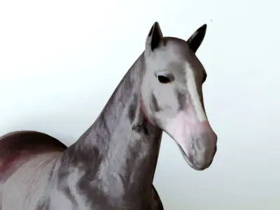 Horses full body Low-poly 3D model