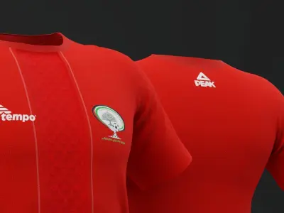 Palestine 2022  Home Jersey Free 3D model