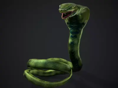 Green Snake Low-poly 3D model